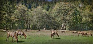 img_7105 