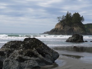 ocean_trees_01 