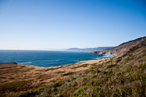 redwood_nsp-0012 