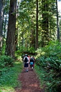 redwood_nsp-0025 