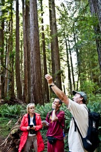 redwood_nsp-0028 