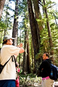 redwood_nsp-0029 