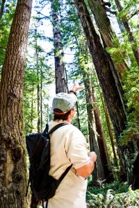 redwood_nsp-0030 