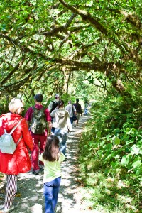 redwood_nsp-0043  