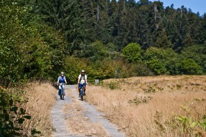 redwood_nsp-0063  